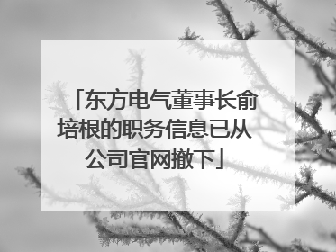 东方电气董事长俞培根的职务信息已从公司官网撤下
