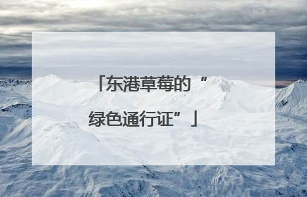 东港草莓的“绿色通行证”