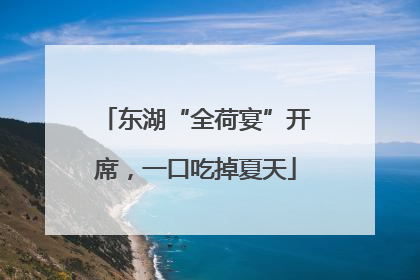 东湖“全荷宴”开席，一口吃掉夏天