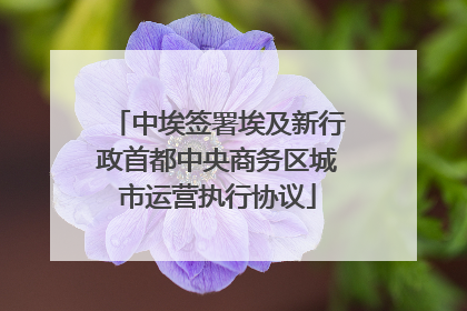 中埃签署埃及新行政首都中央商务区城市运营执行协议