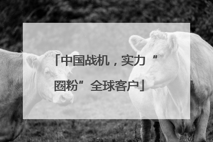 中国战机，实力“圈粉”全球客户