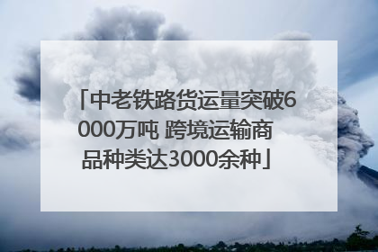中老铁路货运量突破6000万吨 跨境运输商品种类达3000余种