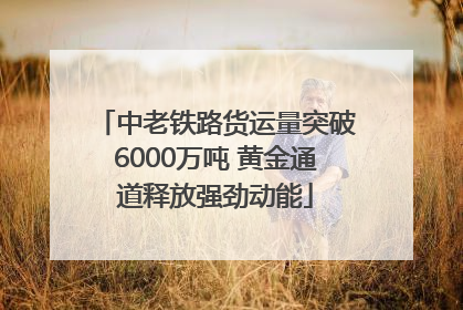 中老铁路货运量突破6000万吨 黄金通道释放强劲动能