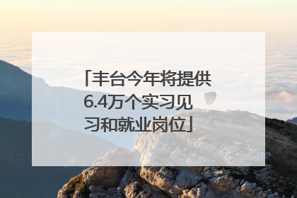 丰台今年将提供6.4万个实习见习和就业岗位