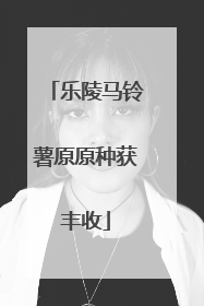 乐陵马铃薯原原种获丰收