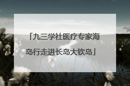 九三学社医疗专家海岛行走进长岛大钦岛