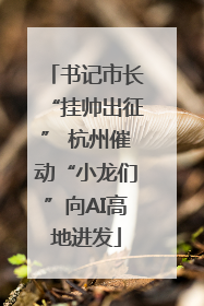 书记市长“挂帅出征” 杭州催动“小龙们”向AI高地进发