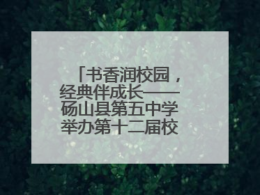 书香润校园，经典伴成长——砀山县第五中学举办第十二届校园读书节活动