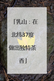 乳山：在北纬37度做出独特茶香
