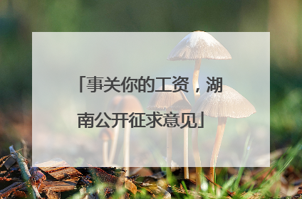 事关你的工资，湖南公开征求意见