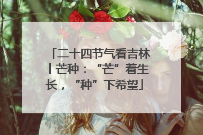 二十四节气看吉林丨芒种：“芒”着生长，“种”下希望