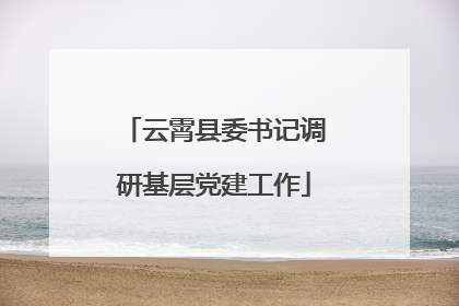 云霄县委书记调研基层党建工作