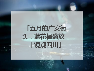 五月的广安街头，蓝花楹盛放丨镜观四川