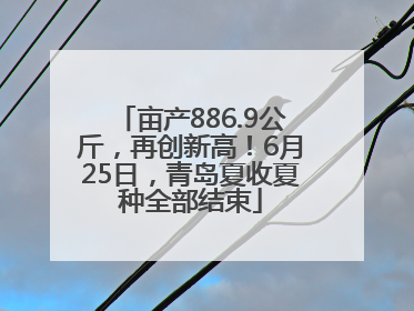 亩产886.9公斤，再创新高！6月25日，青岛夏收夏种全部结束