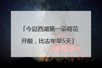 今夏西湖第一朵荷花开啦，比去年早5天