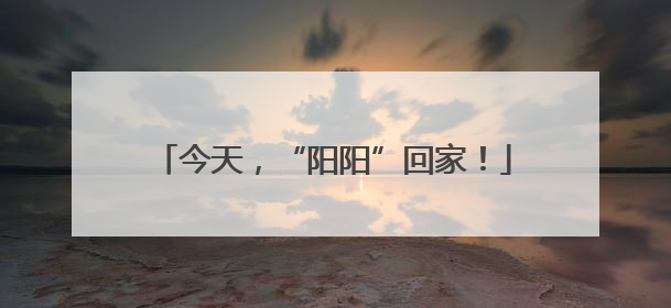 今天，“阳阳”回家！