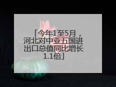 今年1至5月，河北对中亚五国进出口总值同比增长1.1倍
