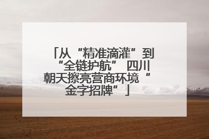 从“精准滴灌”到“全链护航” 四川朝天擦亮营商环境“金字招牌”