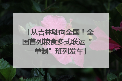 从吉林驶向全国！全国首列粮食多式联运“一单制”班列发车
