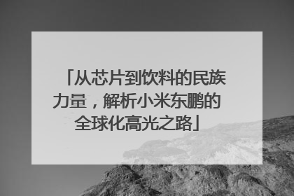 从芯片到饮料的民族力量，解析小米东鹏的全球化高光之路