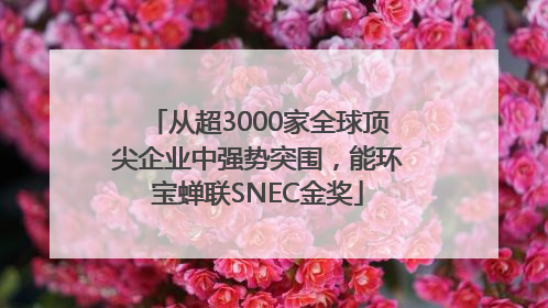 从超3000家全球顶尖企业中强势突围，能环宝蝉联SNEC金奖