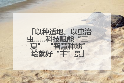 以种适地、以虫治虫……科技赋能“三夏” “智慧种地”绘就好“丰”景