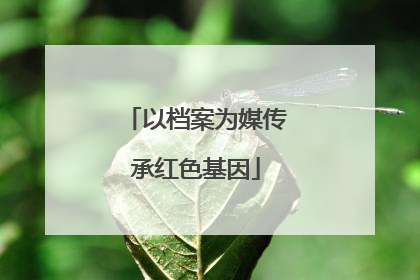以档案为媒传承红色基因