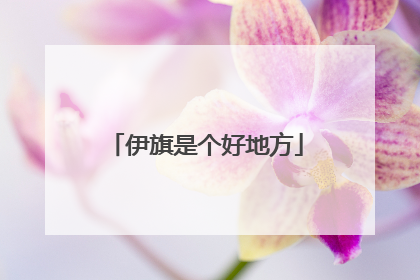 伊旗是个好地方