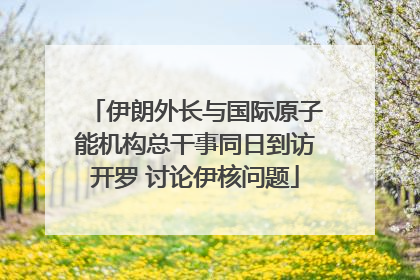 伊朗外长与国际原子能机构总干事同日到访开罗 讨论伊核问题