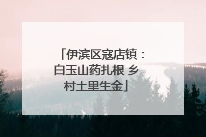 伊滨区寇店镇：白玉山药扎根 乡村土里生金