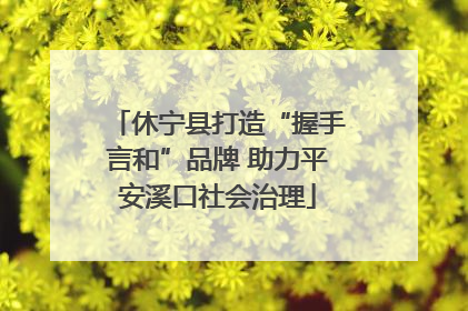休宁县打造“握手言和”品牌 助力平安溪口社会治理