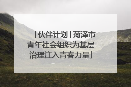 伙伴计划│菏泽市青年社会组织为基层治理注入青春力量