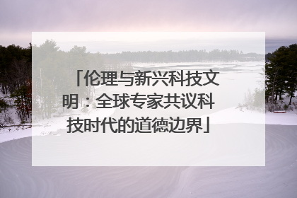 伦理与新兴科技文明：全球专家共议科技时代的道德边界