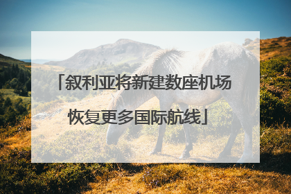 叙利亚将新建数座机场 恢复更多国际航线