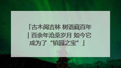 古木阅吉林 树语藏百年｜百余年沧桑岁月 如今它成为了“镇园之宝”