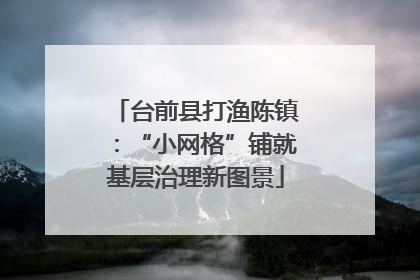 台前县打渔陈镇：“小网格”铺就基层治理新图景
