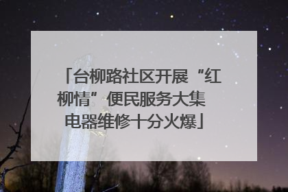 台柳路社区开展“红柳情”便民服务大集 电器维修十分火爆