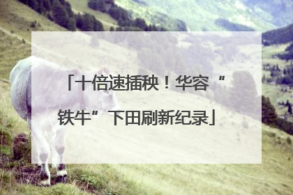 十倍速插秧！华容“铁牛”下田刷新纪录