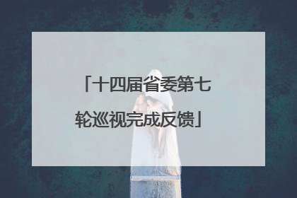 十四届省委第七轮巡视完成反馈
