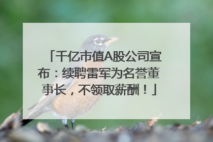 千亿市值A股公司宣布：续聘雷军为名誉董事长，不领取薪酬！
