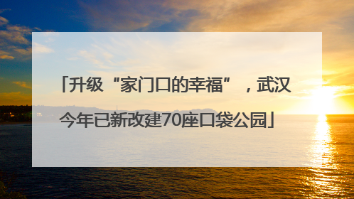 升级“家门口的幸福”，武汉今年已新改建70座口袋公园
