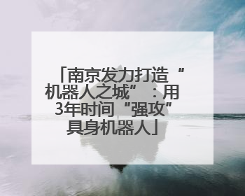 南京发力打造“机器人之城”：用3年时间“强攻”具身机器人