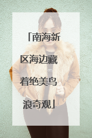 南海新区海边藏着绝美鸟浪奇观