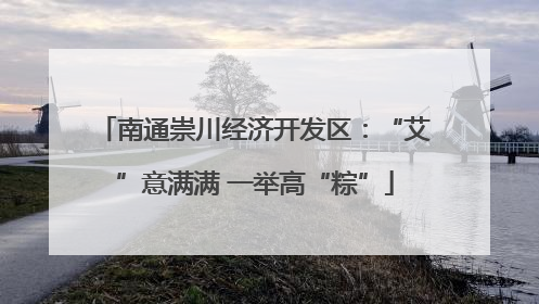 南通崇川经济开发区：“艾”意满满 一举高“粽”