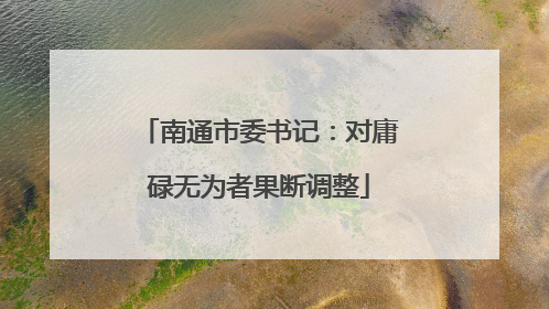 南通市委书记：对庸碌无为者果断调整