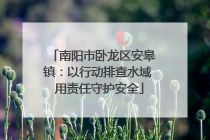 南阳市卧龙区安皋镇：以行动排查水域 用责任守护安全