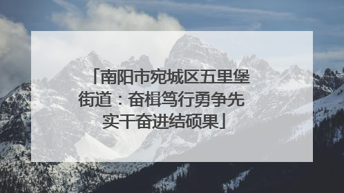 南阳市宛城区五里堡街道：奋楫笃行勇争先 实干奋进结硕果