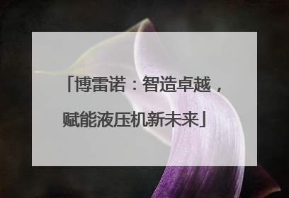博雷诺：智造卓越，赋能液压机新未来