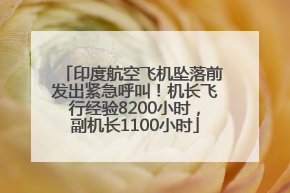 印度航空飞机坠落前发出紧急呼叫！机长飞行经验8200小时，副机长1100小时