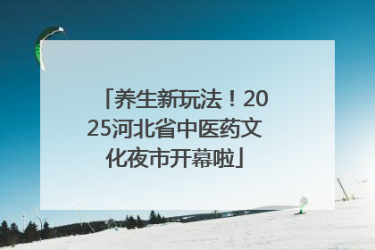 养生新玩法！2025河北省中医药文化夜市开幕啦